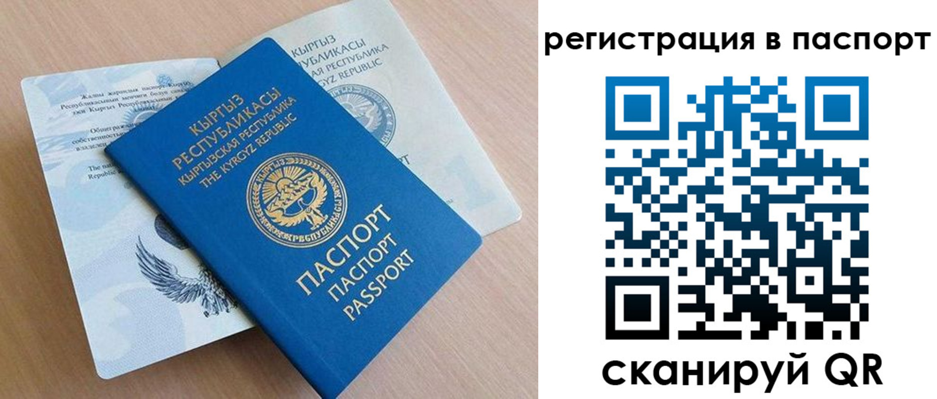 прописка законно в Рязани